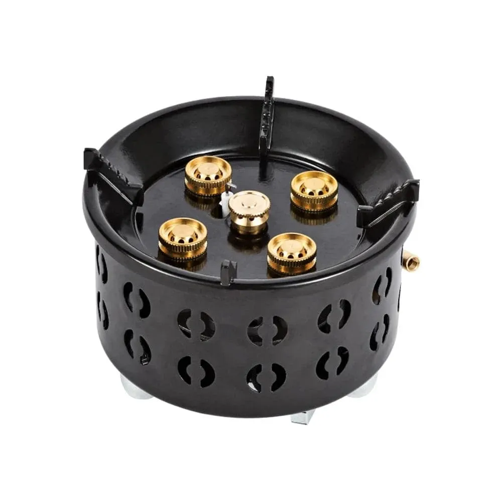 Electronic Ignition Camping Stove Portable Gas Propane Windproof Coal Stove for Outdoor Cooking Picnic Lightweight Compact