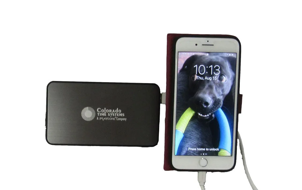 Power Bank (R-420-021)